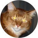 Jean Bernheim profile picture